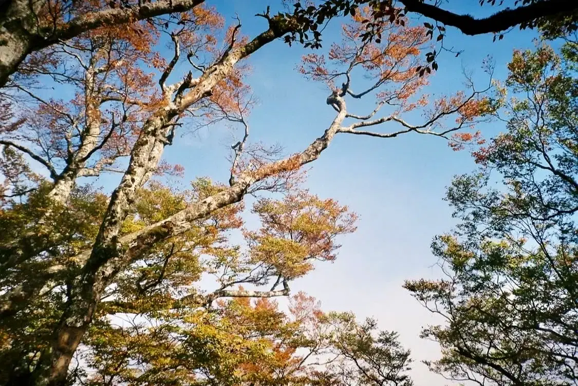 thumbnail-8